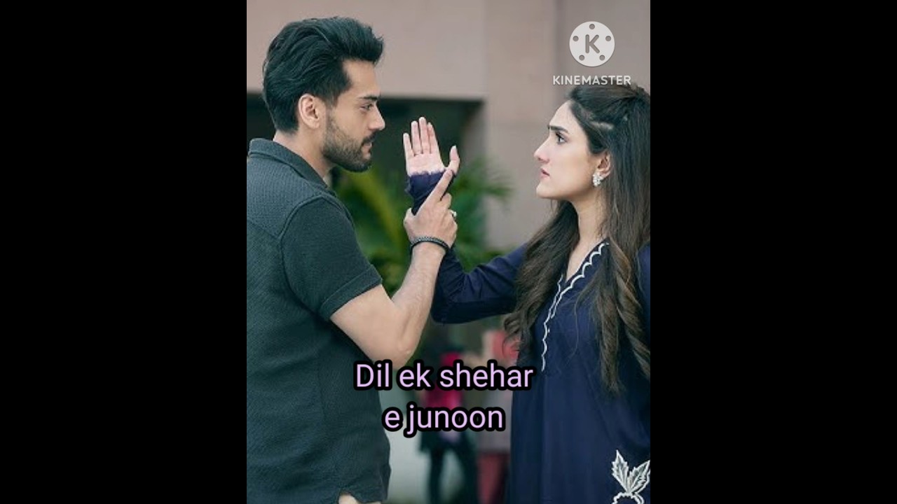 Top 5 Pakistani Dramas to Watch in 2024 π΅π°