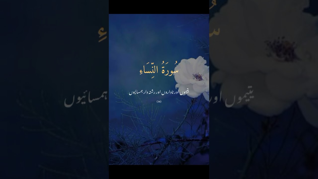 Islamic Videos on YouTube: Learn & Reflect ✨