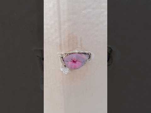 mummy ki roti gol gol 😂❤️ #shorts