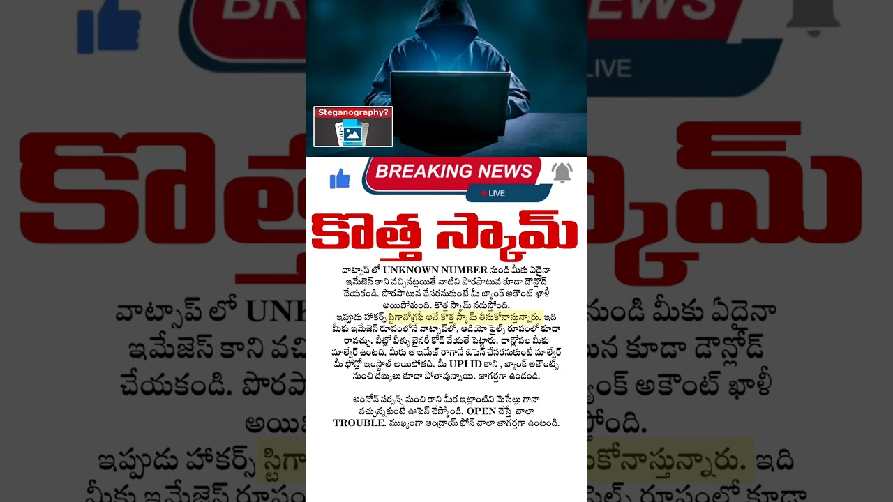 Beware of the Hidden Dangers of Steganography Scams 🚨