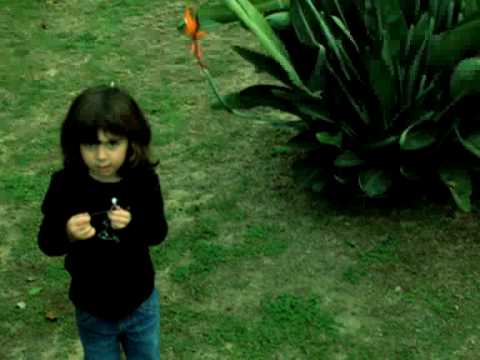 Beirut - Scenic World