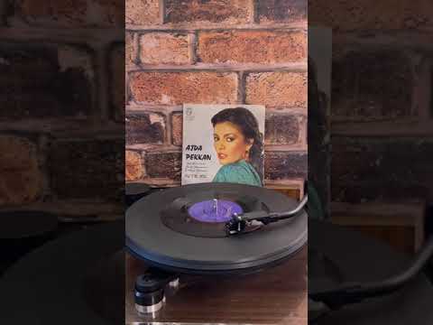ajda pekkan - petrol (1980 dönem baskısı)