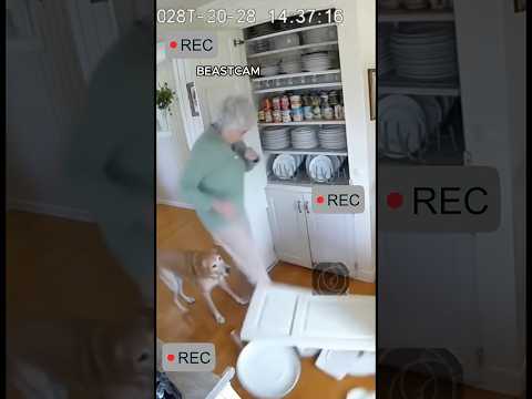 Dog Protects Child Seconds Before Earthquake Strikes 🐾⚠️ | Real CCTV #shorts #dog #horror