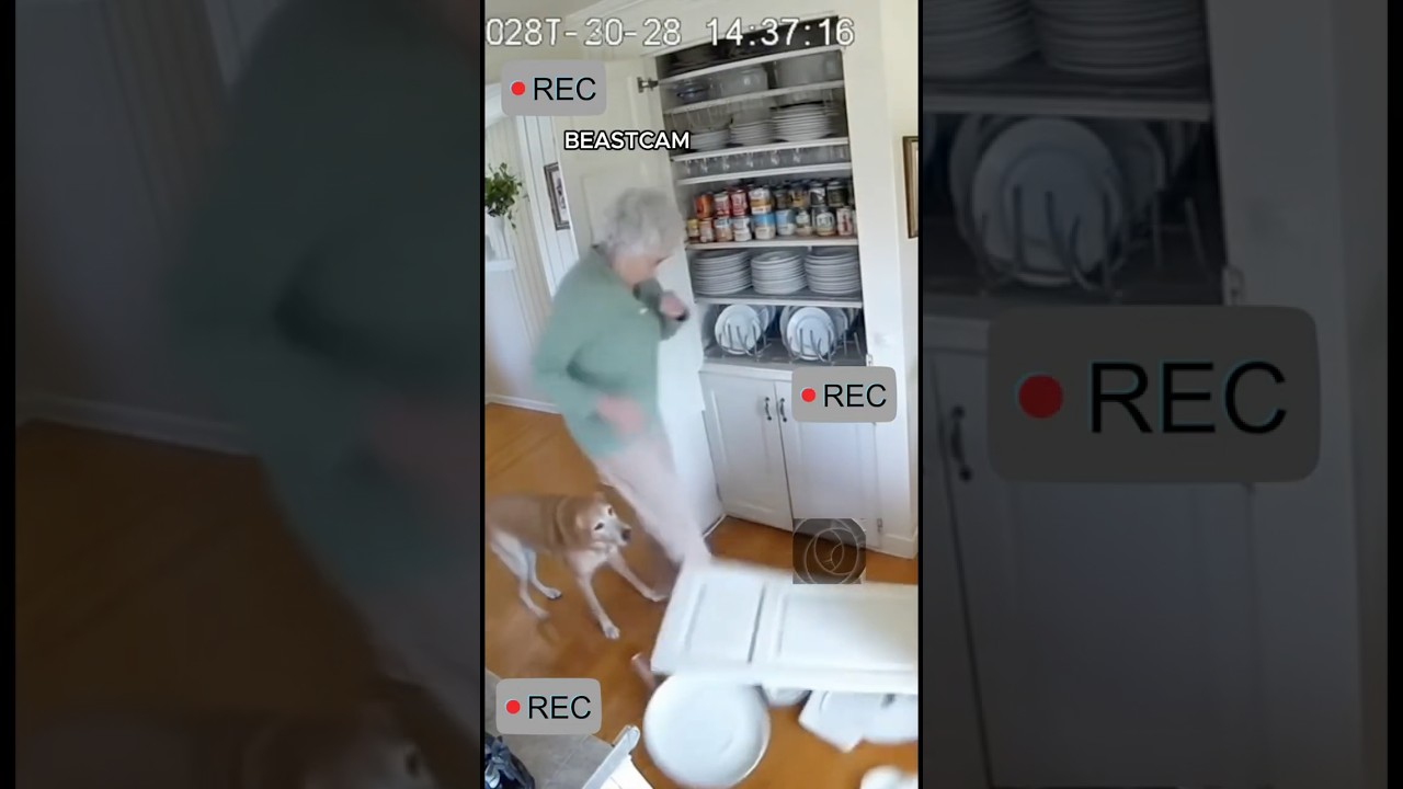 Heroic Dog Saves Child Just Before Earthquake Strikes! 🐶⚠️