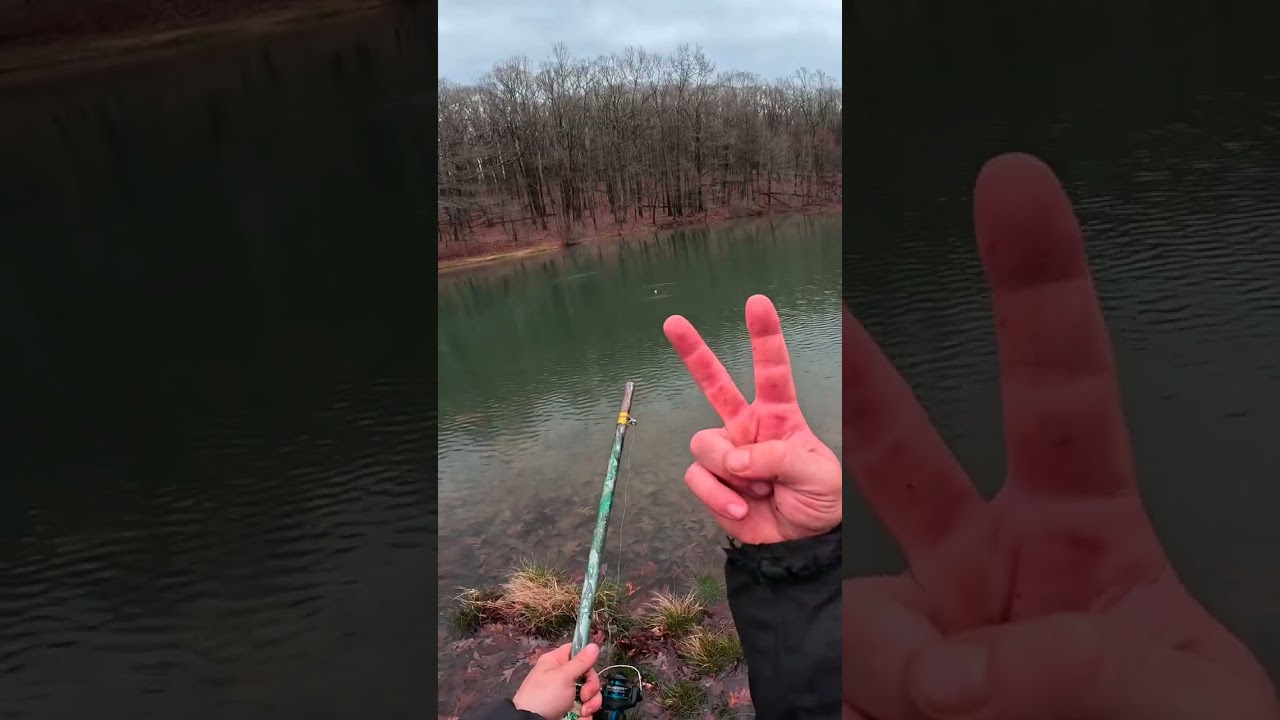 Fishing to Catch More Fish 🎣