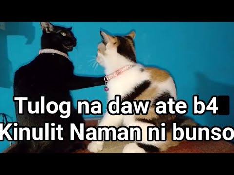 Ate Should Sleep, but Nialica Keeps Pushing 💤