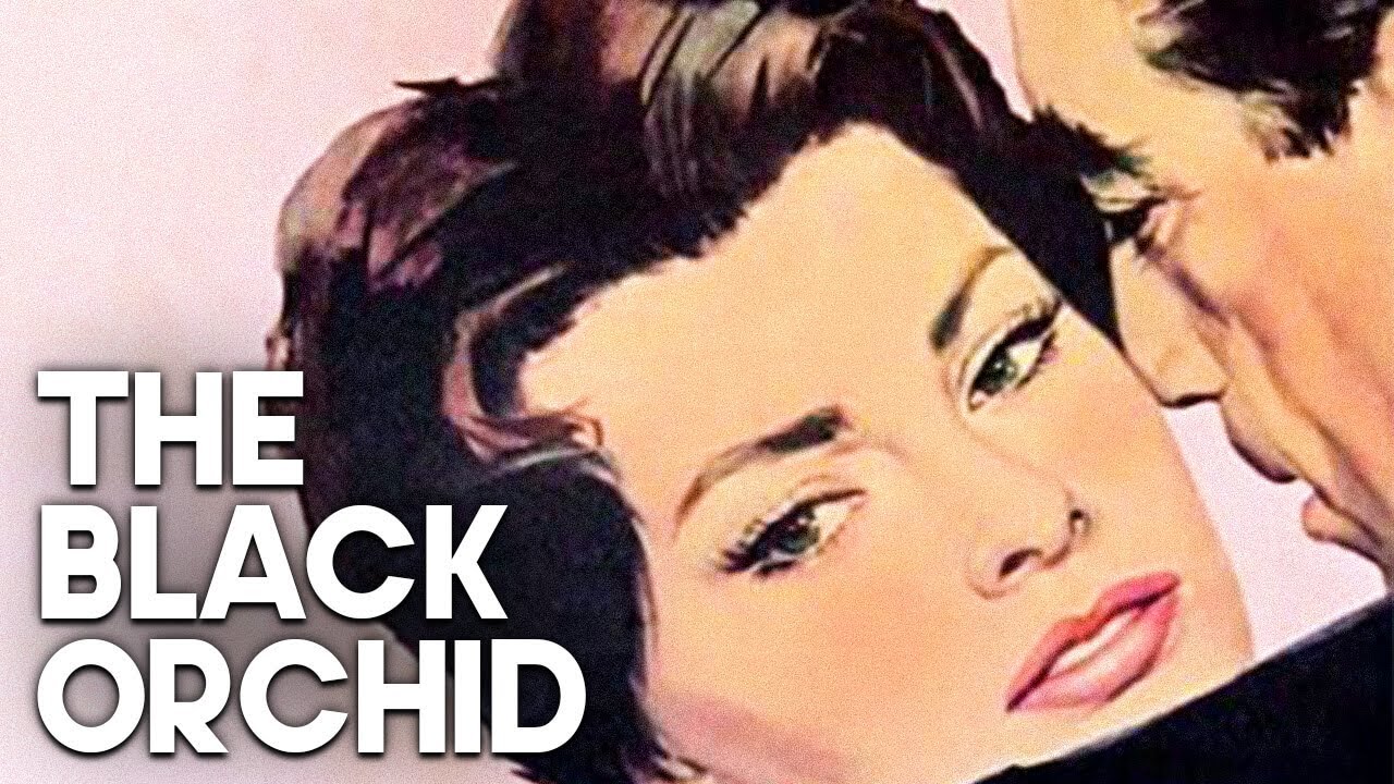 The Black Orchid: Classic Romantic Drama ๐ฌ