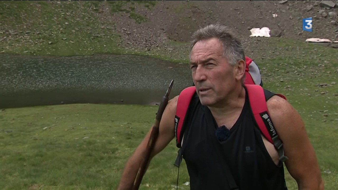Saint-Lary: Éleveurs cherchent brebis après attaque d'ours 🐑