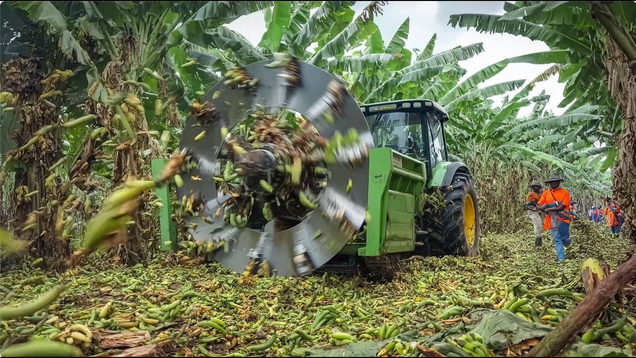 Amazing Banana Chopper & Farm Machinery: The Future of Precision Manufacturing 🚜
