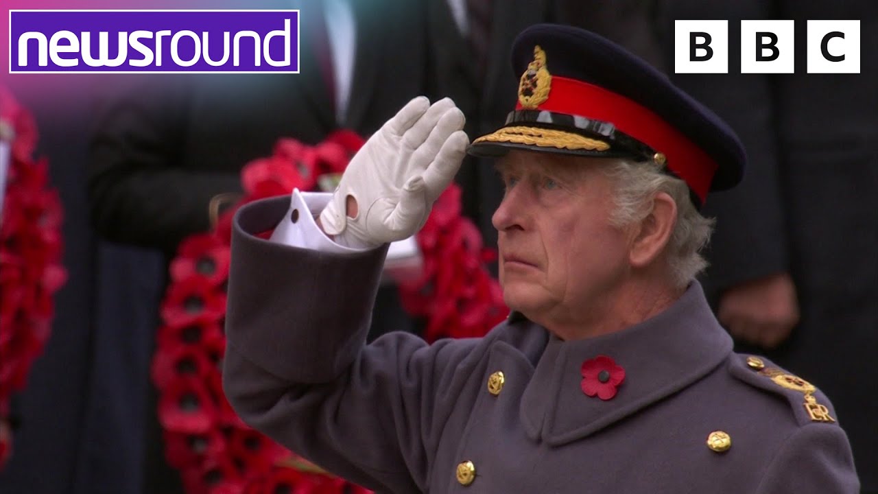 What Is Remembrance Day? Learn Its Meaning & Significance ๐ฌ๐ง