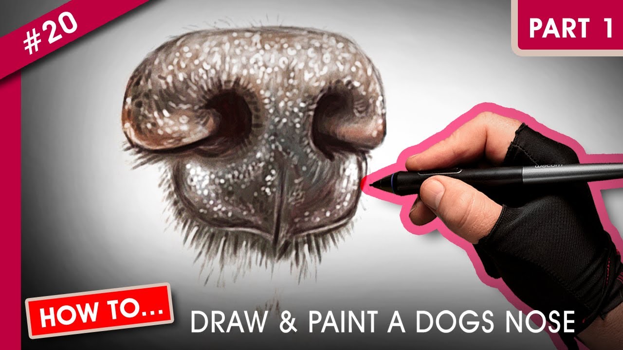 How to Draw and Paint a Dog Nose - Part 1: Step-by-Step Tutorial