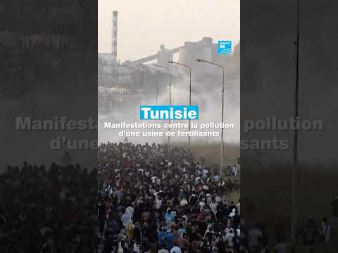 🇹🇳 Tunisie : manifestations contre la pollution d’une usine de fertilisants • FRANCE 24