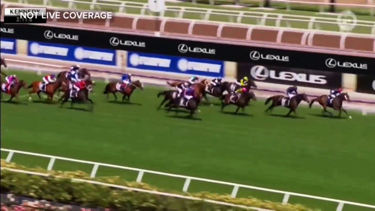 Melbourne Cup 2020 Winner: Twilight Payment 🏆