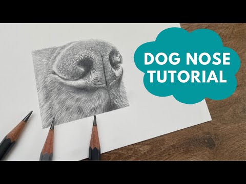 How to Draw a Dog Nose in Graphite Pencils - Real Time Tutorial