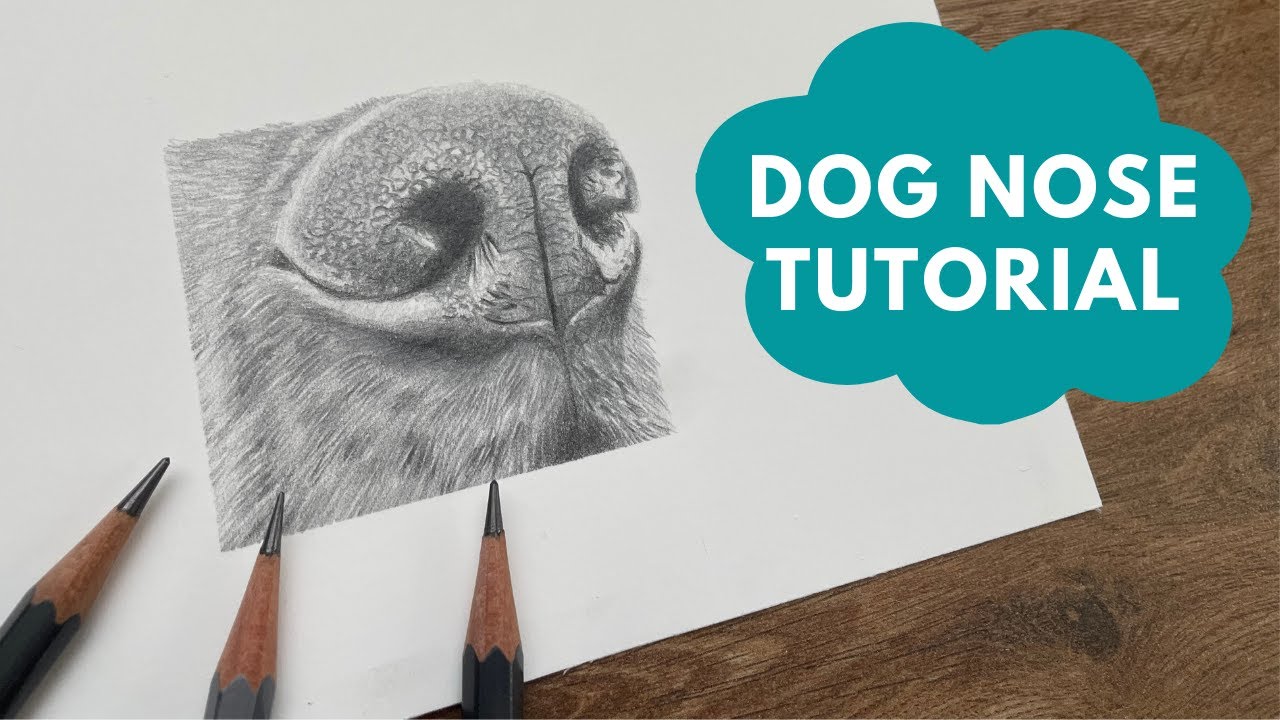 Step-by-Step Guide to Drawing a Dog Nose with Graphite Pencils