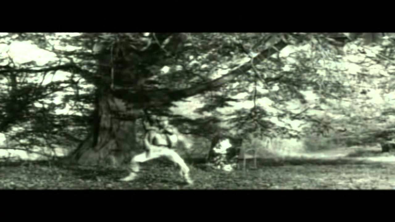 Le Plastique, C'est Fantastique - Elmer Food Beat 🎶