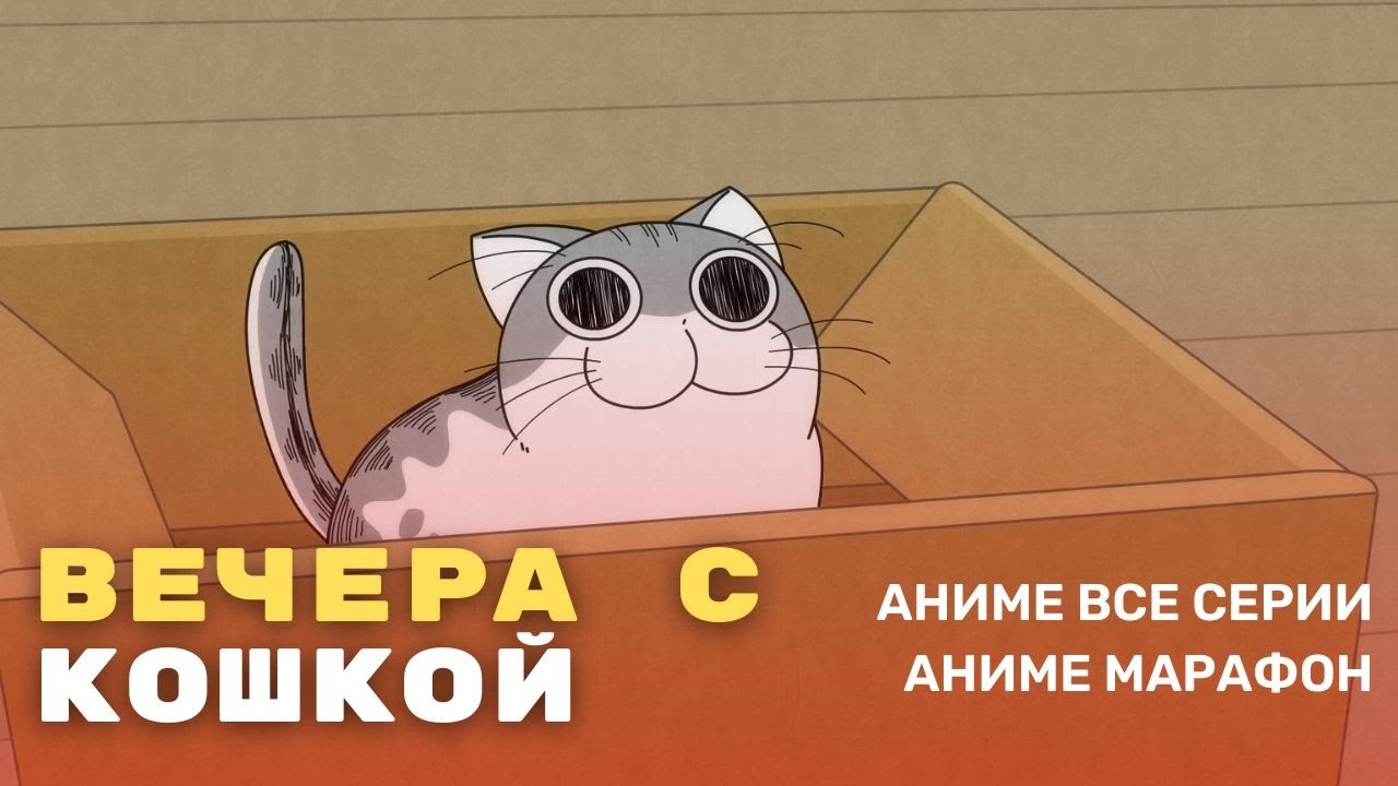 Аниме марафон: Вечера с кошкой 🐱