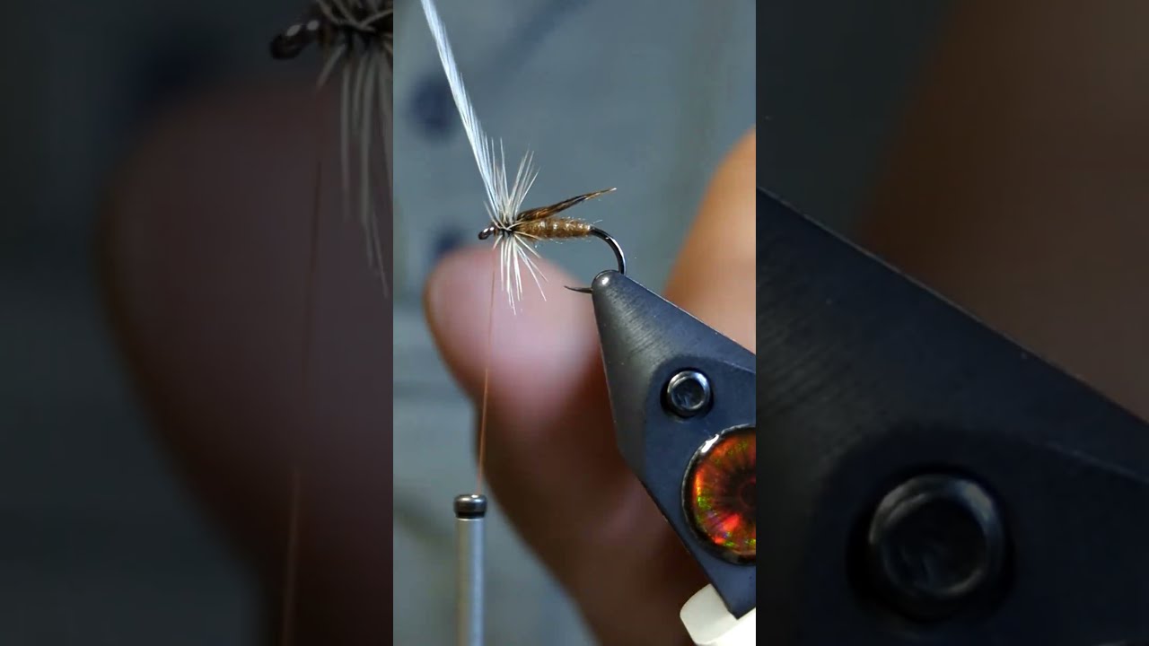 Simple Dry Fly for Beginners 🎣