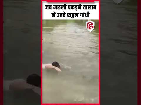 Bihar Election:  मछली पकड़ने तालाब में उतरे Rahul Gandhi | Begusarai | Viral Video