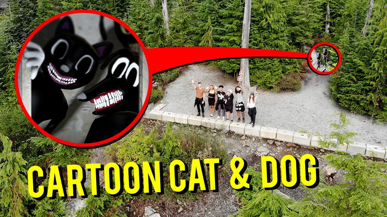 DRONE CATCHES CARTOON CAT AND CARTOON DOG IN THE MOUNTAINS!! (WE FOUND THEM!)