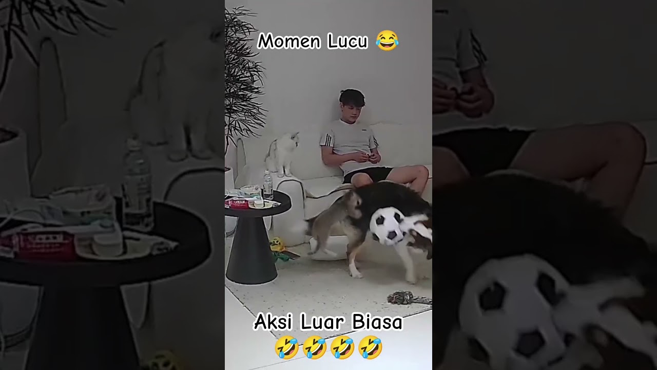 Aksi Luar Biasa dan Tawa Seru! 😄 | Konten Hiburan #Shorts