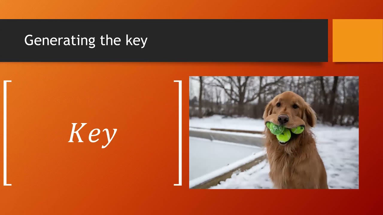 Secure Your Images with the Hill Cipher Encryption 🔐
