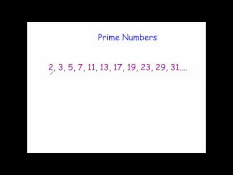 Prime Numbers