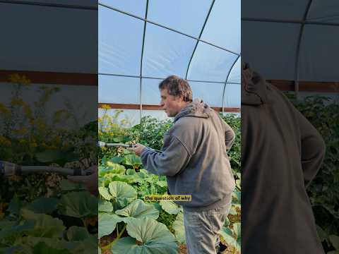 Why Algorithms Make Us So Irrationally Angry