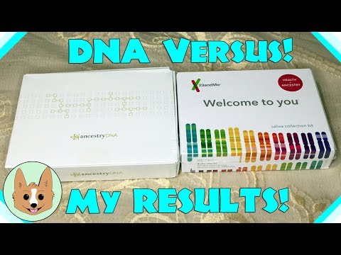 Results Comparison - AncestryDNA vs 23andMe - Genetic DNA Tests