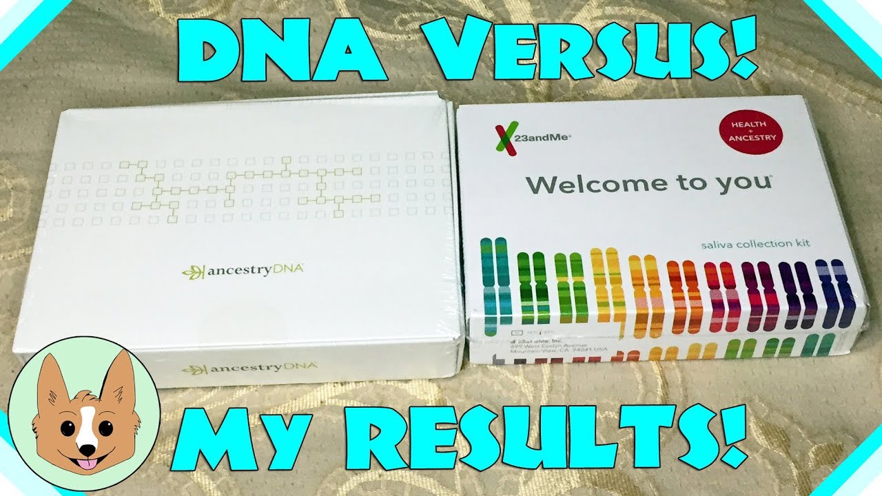 AncestryDNA vs 23andMe: DNA Test Results Comparison