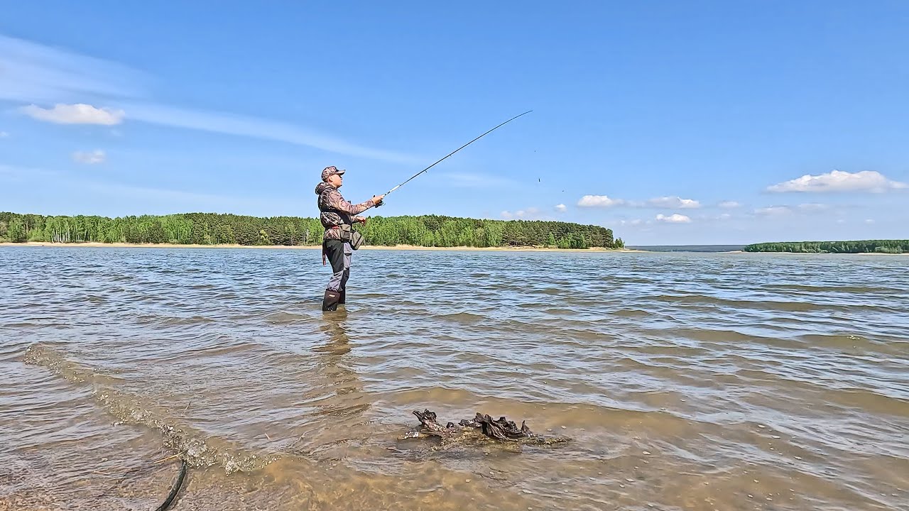 Береговой спиннинг и отводной поводок для окуня 🎣