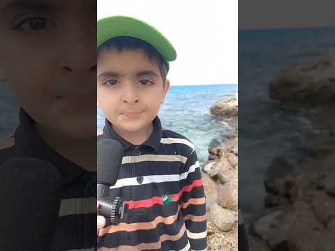 beautiful Quran recitation by Essa #recitation #quran #viralvideoシ