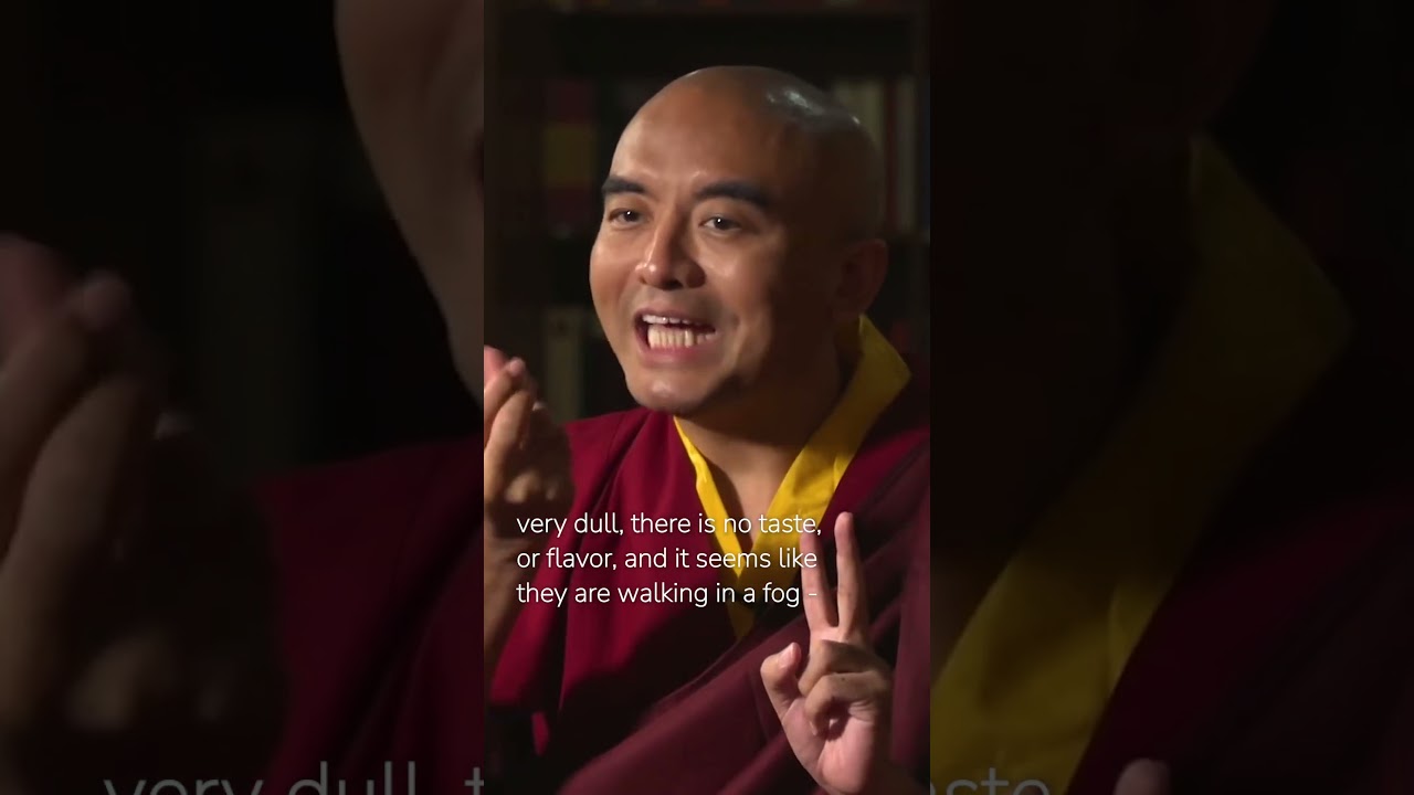 Meditation Insights with Mingyur Rinpoche 🧘‍♂️