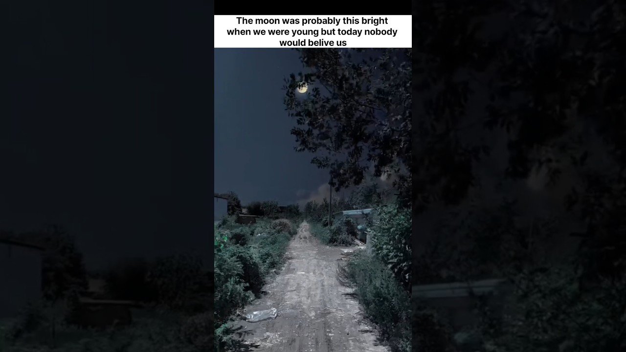 Childhood Nostalgia 🌟 (Part 3)