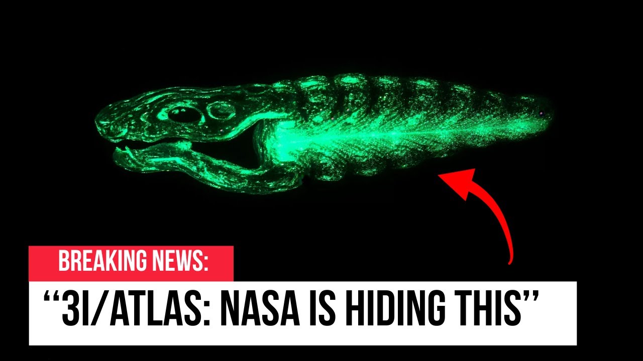 3I/ATLAS: What NASA Didn’t Reveal in Images