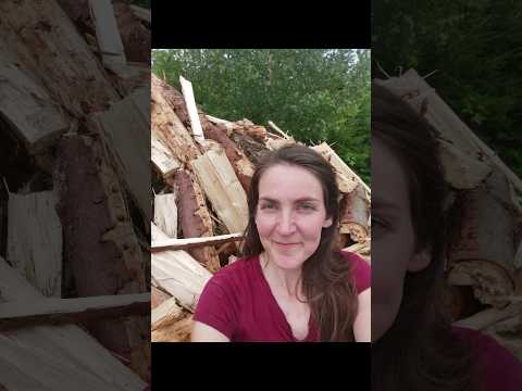 Freya macht Holz! - Was machst Du? #brennholz #forsttechnik #klapituiko #satisfying #firewood