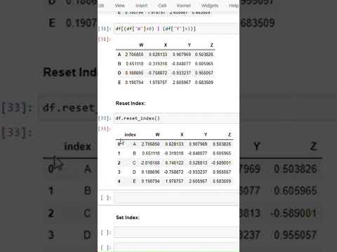 How to Reset Index in a Python Dataframe | Mar 2025