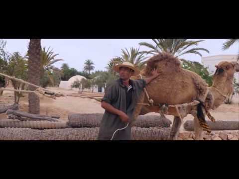 Balti Fel Barima layam kif erih