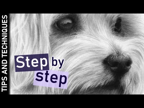 How to draw a dog nose in graphite | Step by step