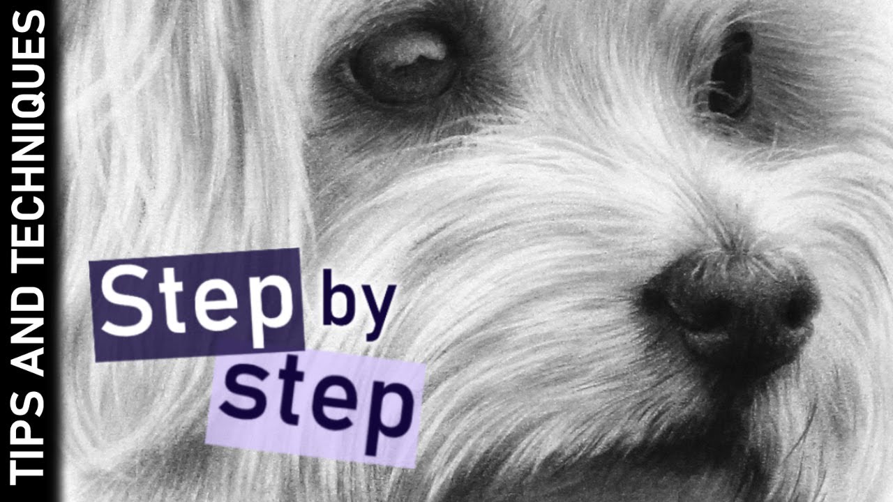 Step-by-Step Guide to Drawing a Dog Nose in Graphite