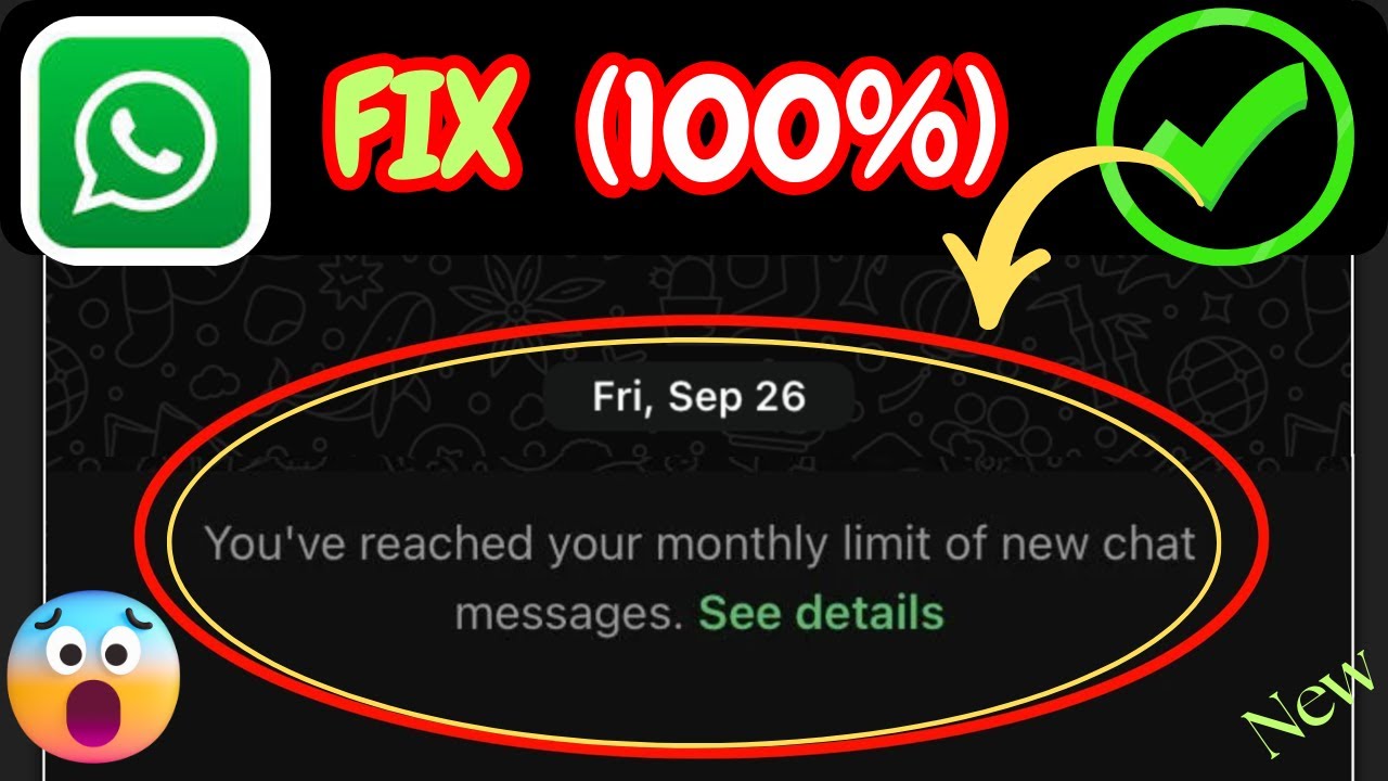 How To Fix WhatsApp Monthly Message Limit Reached | New Chat Messages Not Send Problem