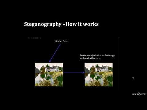 069 What is Steganography