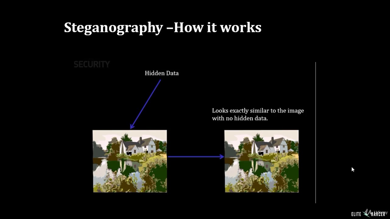 069 What Is Steganography? Discover the Hidden Art of Secret Communication 🔍