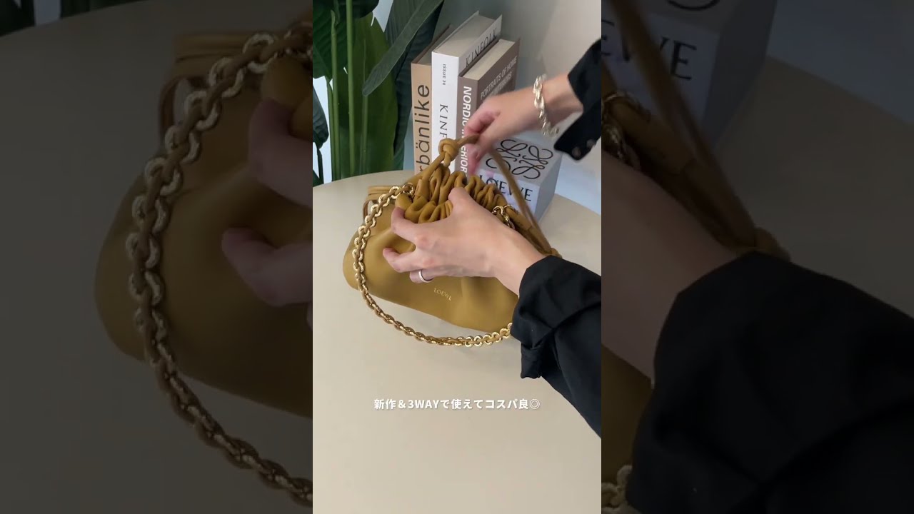 ロエベの新作バッグが話題に！