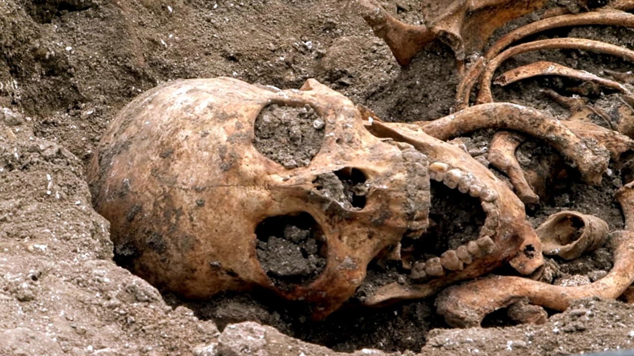 Découverte exceptionnelle : Les secrets de la maison mère des Templiers à Paris 🏺