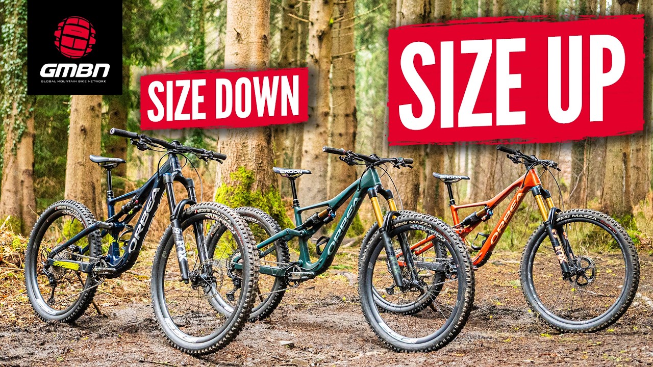 Does Size Matter? Why Frame Size Counts 🚲