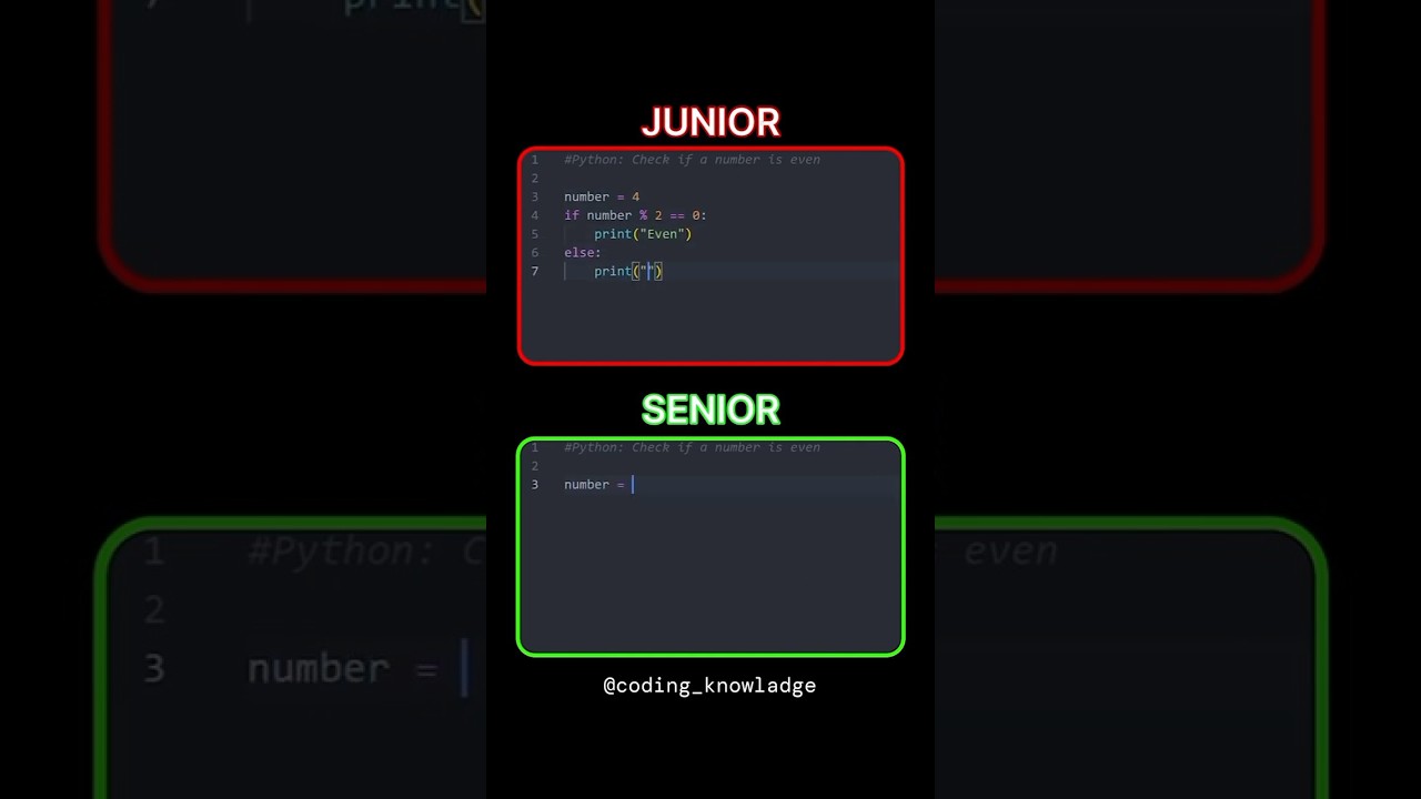 Junior vs Senior Python Developer: Key Differences Explained 🐍