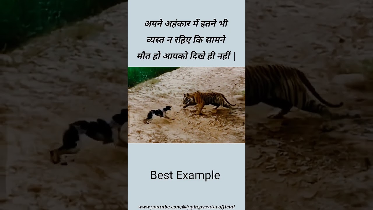 अहंकार में मत डूबो: प्रेरक उदाहरण 🌟