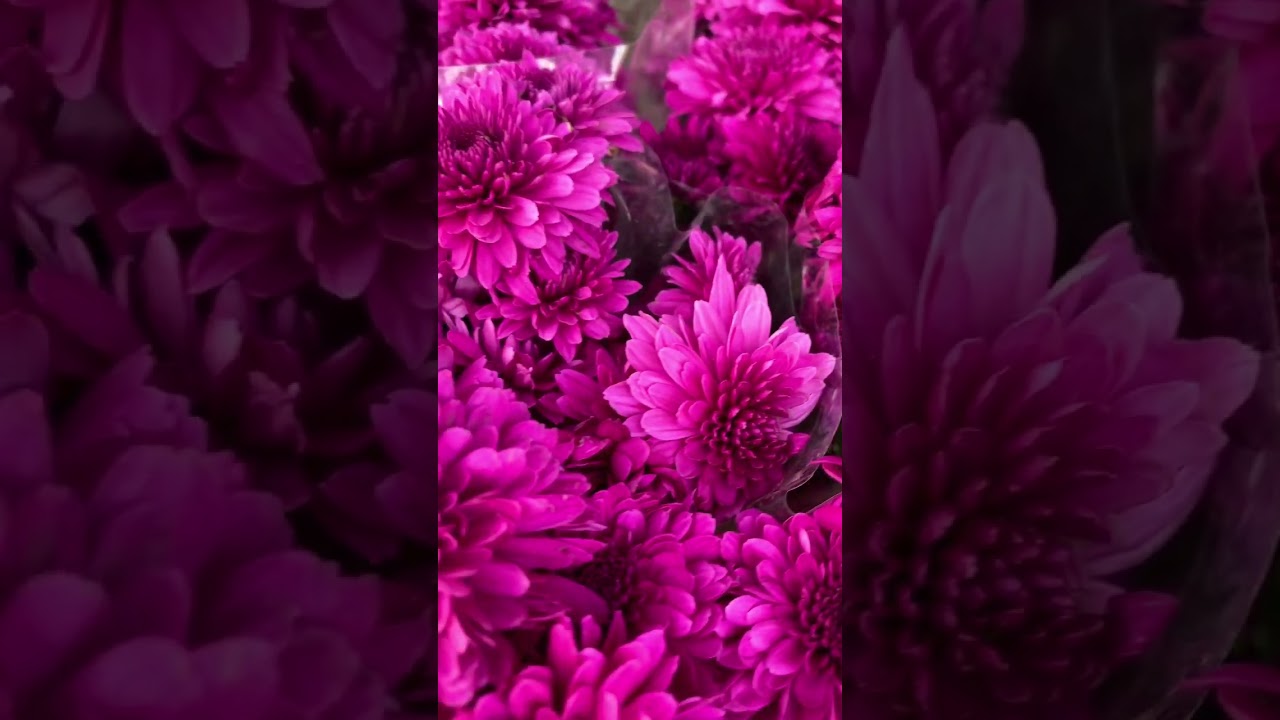 Beautiful Old Market Scene with Sky and Sea 🌅