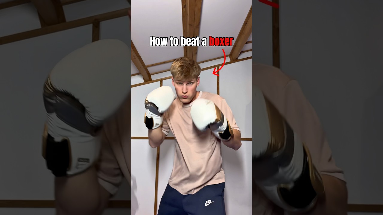 Tips to Beat a Boxer ๐ฅ